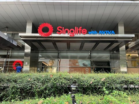 Singlife background